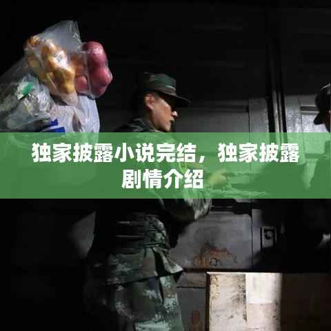 独家披露小说完结,独家披露剧情介绍