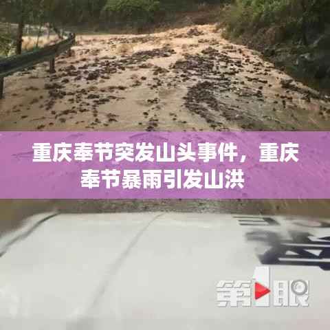 重庆奉节突发山头事件,重庆奉节暴雨引发山洪