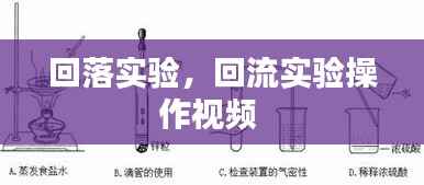 回落实验,回流实验操作视频