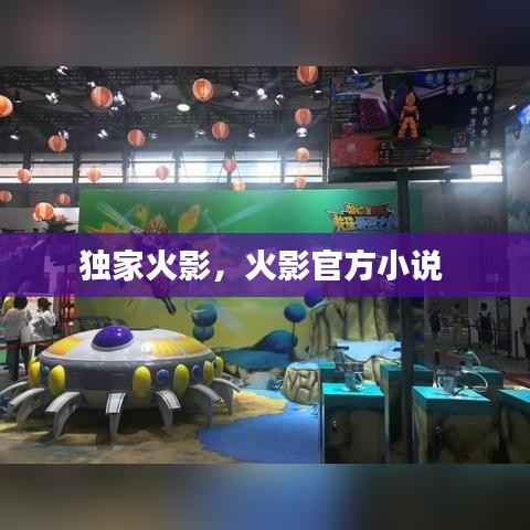 独家火影,火影官方小说
