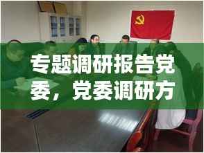 专题调研报告党委,党委调研方案