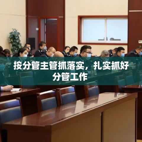 按分管主管抓落实,扎实抓好分管工作
