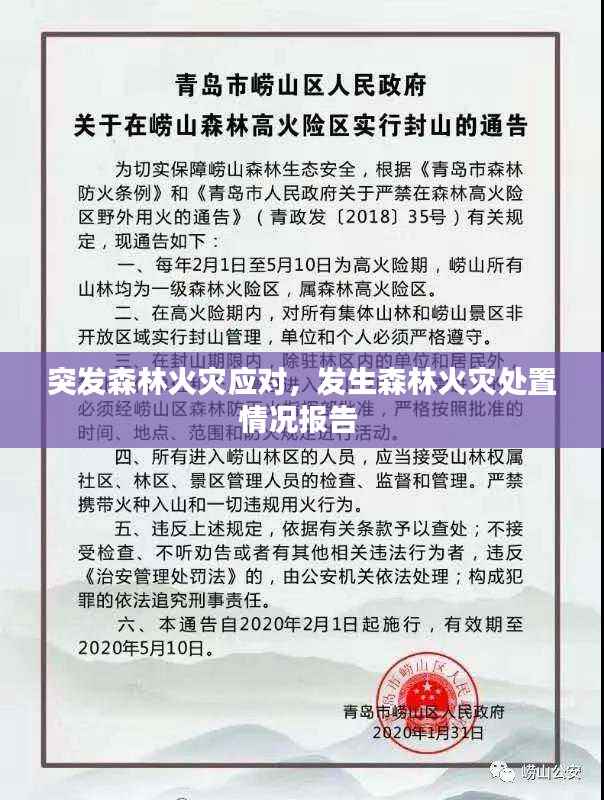 突发森林火灾应对,发生森林火灾处置情况报告