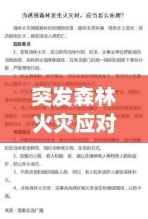 突发森林火灾应对,发生森林火灾处置情况报告