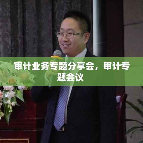 审计业务专题分享会,审计专题会议