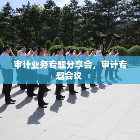 审计业务专题分享会,审计专题会议