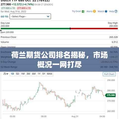 荷兰期货公司排名揭秘,市场概况一网打尽