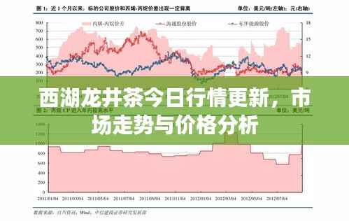 西湖龙井茶今日行情更新，市场走势与价格分析