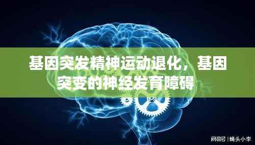基因突发精神运动退化,基因突变的神经发育障碍