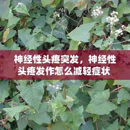 神经性头疼突发,神经性头疼发作怎么减轻症状