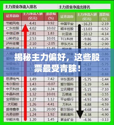 揭秘主力偏好,这些股票最受青睐!
