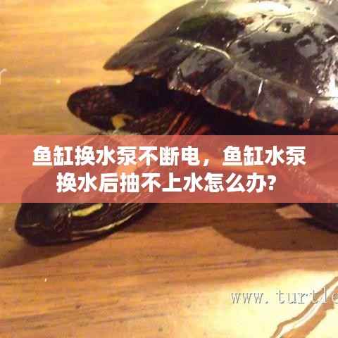鱼缸换水泵不断电,鱼缸水泵换水后抽不上水怎么办?