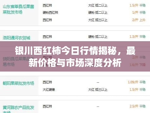 银川西红柿今日行情揭秘,最新价格与市场深度分析