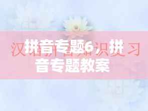 拼音专题6，拼音专题教案 