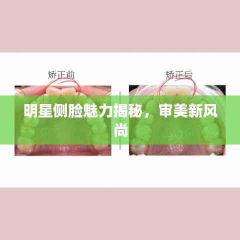 明星侧脸魅力揭秘,审美新风尚