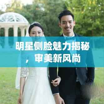 明星侧脸魅力揭秘,审美新风尚