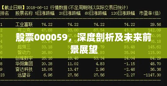 股票000059,深度剖析及未来前景展望
