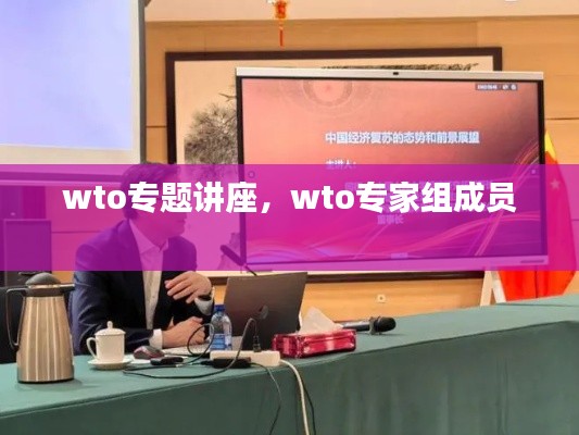 wto专题讲座,wto专家组成员