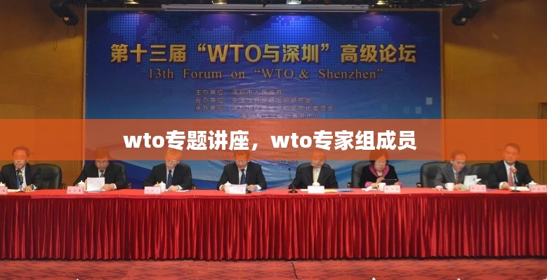 wto专题讲座,wto专家组成员