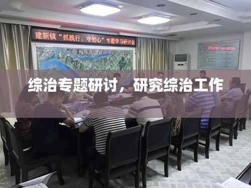 综治专题研讨,研究综治工作