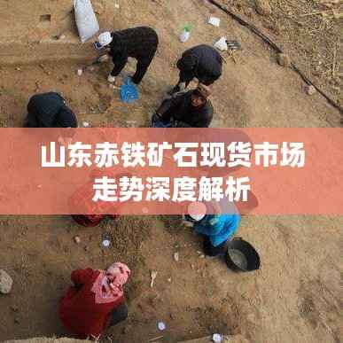 山东赤铁矿石现货市场走势深度解析