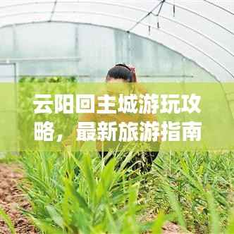 云阳回主城游玩攻略，最新旅游指南全掌握