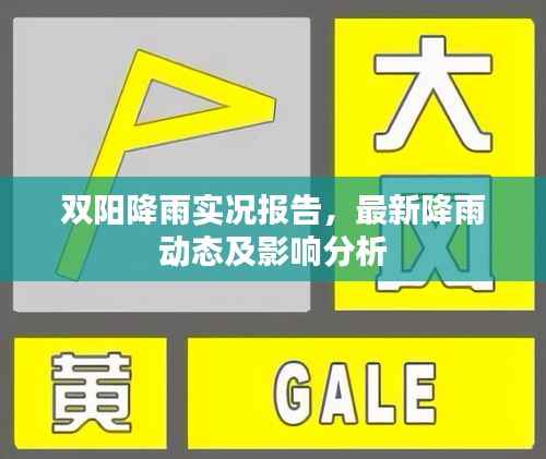 双阳降雨实况报告,最新降雨动态及影响分析