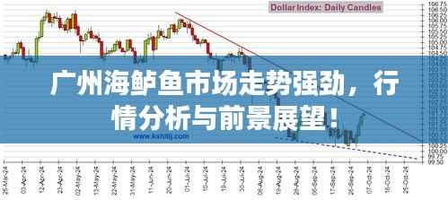 优秀课例 第135页