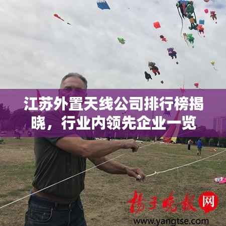 江苏外置天线公司排行榜揭晓,行业内领先企业一览