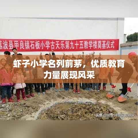 虾子小学名列前茅,优质教育力量展现风采