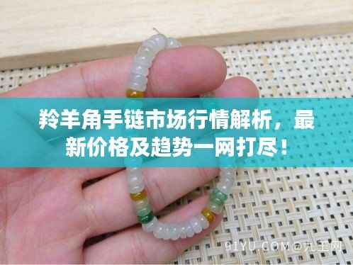 羚羊角手链市场行情解析,最新价格及趋势一网打尽!