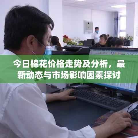 今日棉花价格走势及分析，最新动态与市场影响因素探讨