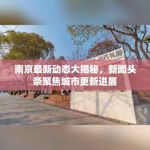 南京最新动态大揭秘,新闻头条聚焦城市更新进展
