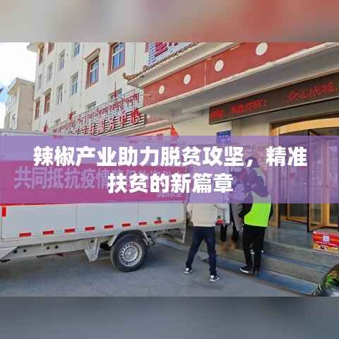 辣椒产业助力脱贫攻坚,精准扶贫的新篇章