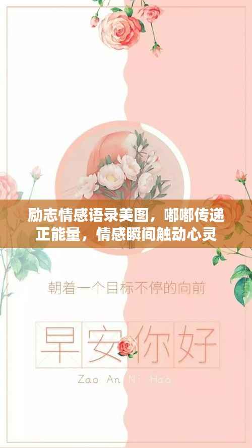 励志情感语录美图,嘟嘟传递正能量,情感瞬间触动心灵