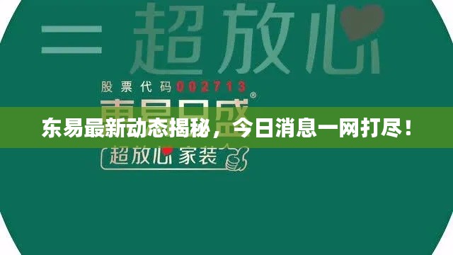 东易最新动态揭秘,今日消息一网打尽!