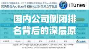 国内公司倒闭排名背后的深层原因探究,揭秘企业倒闭真相!