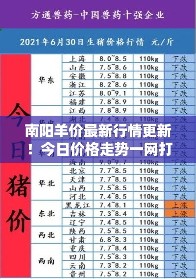 南阳羊价最新行情更新!今日价格走势一网打尽