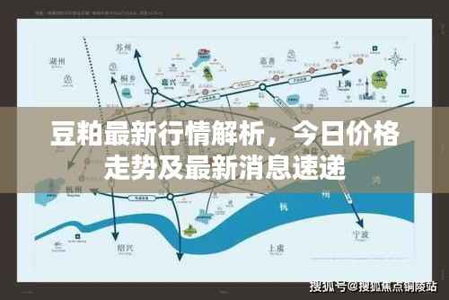 豆粕最新行情解析,今日价格走势及最新消息速递
