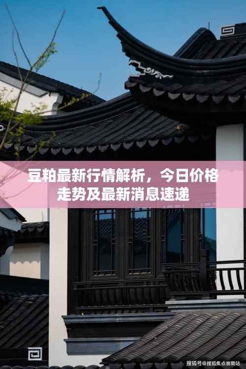 豆粕最新行情解析,今日价格走势及最新消息速递