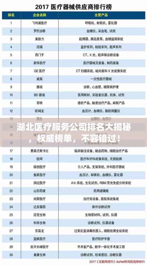 湖北医疗服务公司排名大揭秘,权威榜单,不容错过!