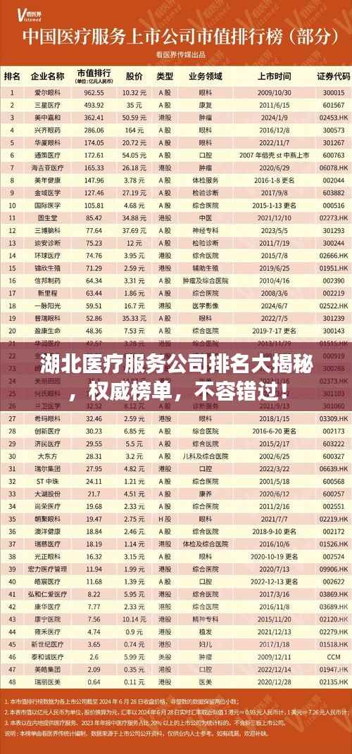 湖北医疗服务公司排名大揭秘,权威榜单,不容错过!