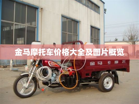 金马摩托车价格大全及图片概览