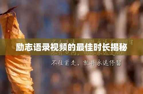 新闻动态 第116页