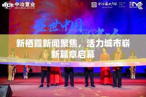 新栖霞新闻聚焦,活力城市崭新篇章启幕