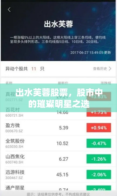 出水芙蓉股票,股市中的璀璨明星之选