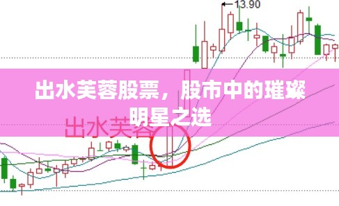 出水芙蓉股票,股市中的璀璨明星之选