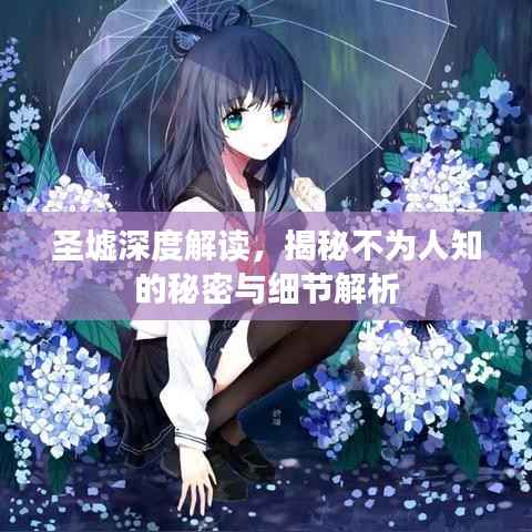 圣墟深度解读,揭秘不为人知的秘密与细节解析