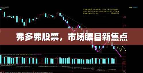 弗多弗股票,市场瞩目新焦点