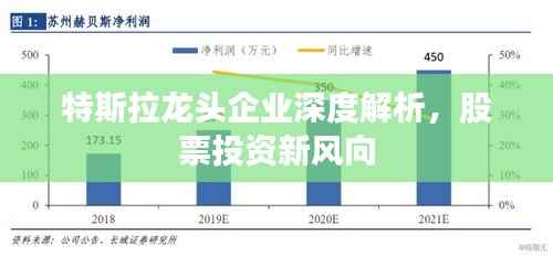 特斯拉龙头企业深度解析,股票投资新风向
